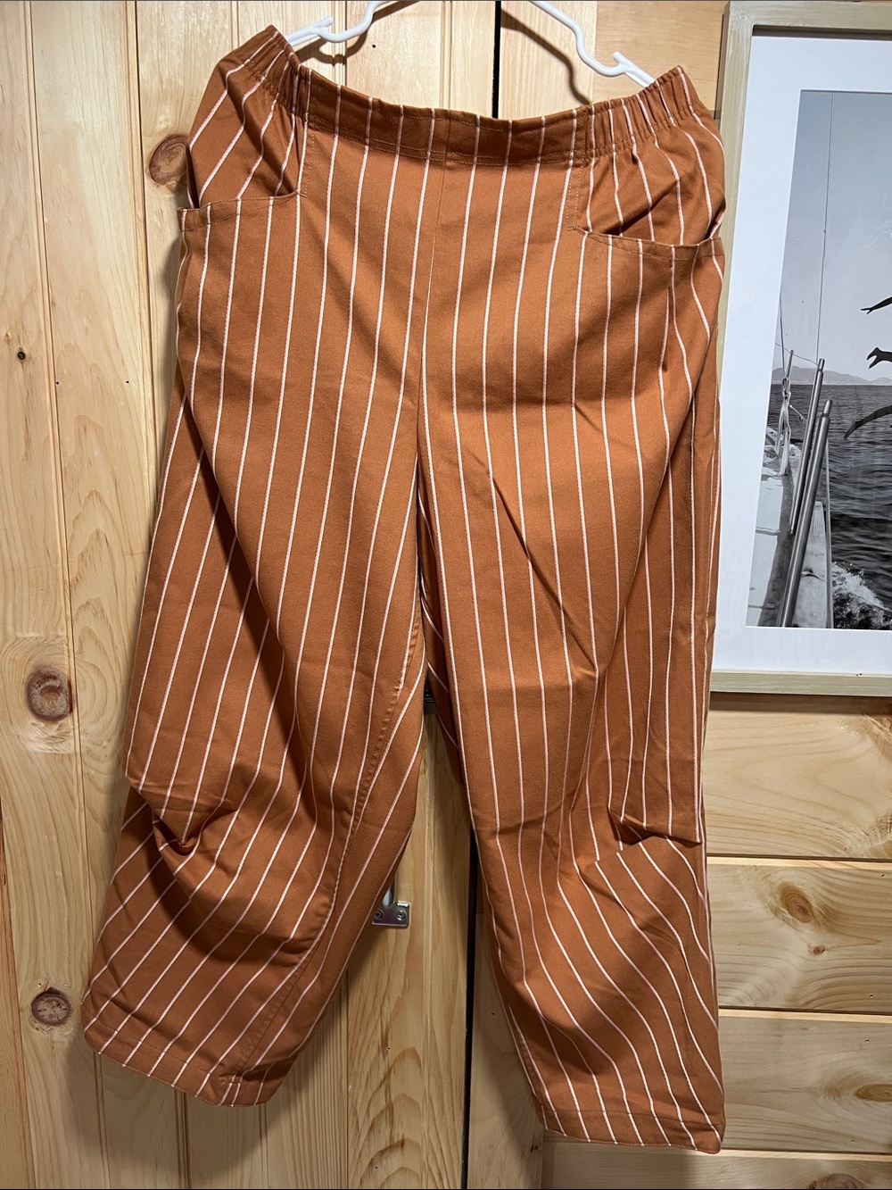 Free People Rust Brown Pinstriped Pull-On Pants